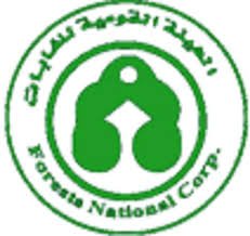 مدير بهيئة الغابات يوجه بفتح بلاغات.. ماذا هناك 