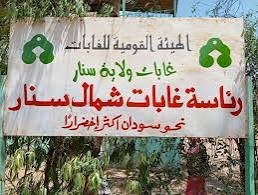 مدير بهيئة الغابات يوجه بفتح بلاغات.. ماذا هناك 