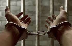 جريمة بشعة تهز محلية مروي 13 جريمة بشعة تهز محلية مروي