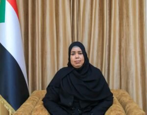 السيادي يشدد على تحديث التشريعية التنظيمية بقطاع التعدين 12 السيادي يشدد على تحديث التشريعية التنظيمية بقطاع التعدين
