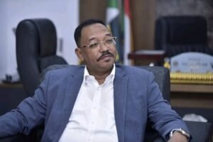 السيادي يشدد على تحديث التشريعية التنظيمية بقطاع التعدين 13 السيادي يشدد على تحديث التشريعية التنظيمية بقطاع التعدين