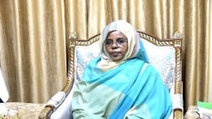 مشروعات شبابية مهمة أمام السيادي 