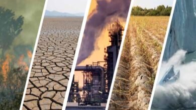 19 2022 638034151563330211 333 1