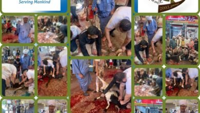 39e03d8b 89d5 4507 aa98 af3a182f2b06