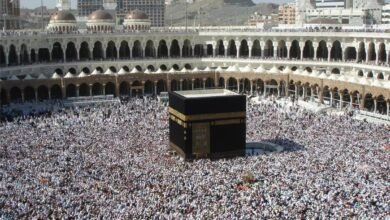 8d972ada 875e 4547 924f 83116001c592