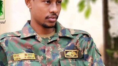 FB IMG 1717540727168 scaled 1