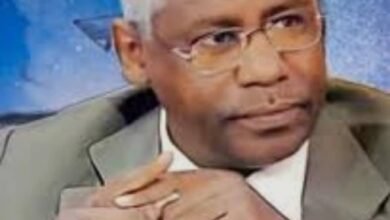 عادل الباز: لماذا نتفاوض مع الإمارات؟ وعلى ماذا يدور هذا التفاوض؟ (1/2) 17 IMG 20250603 WA0019 1