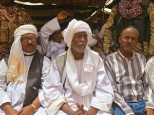 الإعلان عن تحالف عسكري جديد شرق السودان 13 الإعلان عن تحالف عسكري جديد شرق السودان