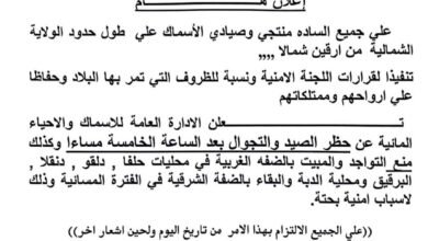 IMG 20250614 WA0017