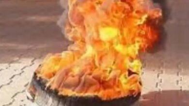 IMG 20250615 WA0011 1