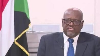 قنصل السودان بأسوان يتحدث عن خطوط نقل جديدة لعودة السودانيين 15 IMG 20250616 WA0012 1