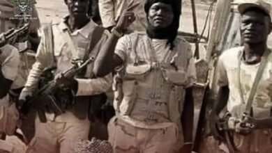 قيادات وعناصر من المليشيا بالجنوب.. ماذا هناك! 17 IMG 20250622 WA0006 1