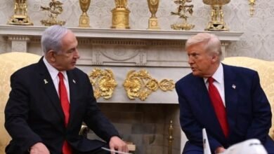 IMG 20250630 WA0003 1