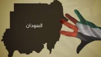 IMG 20250625 115927 260