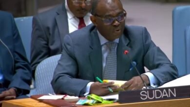 ماذا قال مندوب السودان بمجلس الأمن عن قرار الهدنة 18 Screenshot 20250628 085028 Chrome