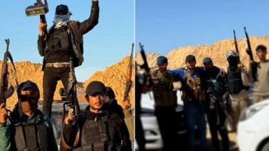 Untitled 2 1749392966