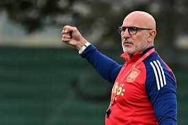 مدرب أسبانيا يعترف بخطأ نهائي أوروبا 