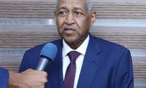 عدوي يكشف عن تطورات بشأن تأشيرات السودانيين 