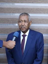 تعهدات مصرية بتأهيل جسرين مهمين بالسودان 12 تعهدات مصرية بتأهيل جسرين مهمين بالسودان