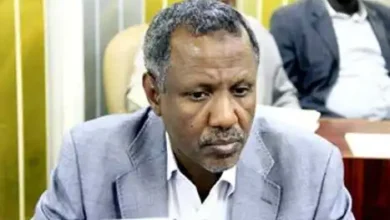 إبراهيم الصديق