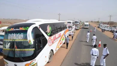 البصات.jpg