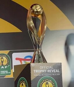 إعلان مواعيد دوريات أفريقيا.. إليك التفاصيل 13 إعلان مواعيد دوريات أفريقيا.. إليك التفاصيل