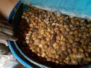 القبض على (34) متهم أجنبي بالحاج يوسف 