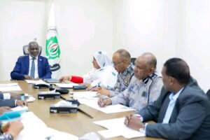 إجراءات حاسمة بشأن استيراد السيارات 14 إجراءات حاسمة بشأن استيراد السيارات