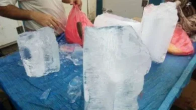 الحكومة تراقب أسعار الثلج بهذه المدينة 15 319845