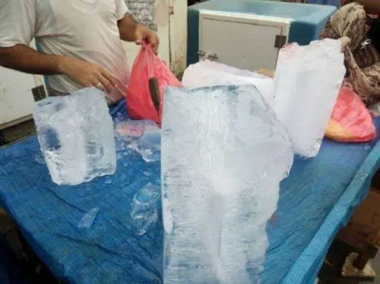الحكومة تراقب أسعار الثلج بهذه المدينة 11 319845