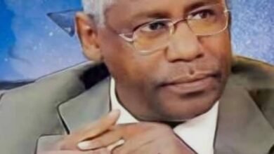 عادل الباز: لماذا ومتى وكيف ستتدخل إسرائيل في حرب السودان؟ (٢) 14 IMG 20250628 WA0017