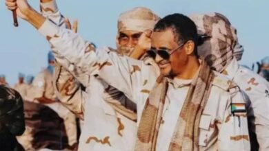 معلومات خطيرة عن طائرة حميدتي 15 IMG 20250704 WA0034