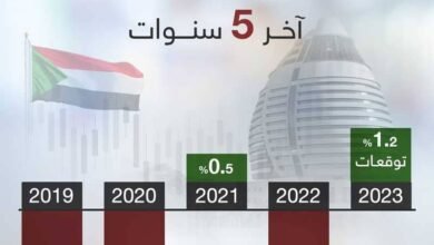 إحصائيات صادمة.. الاقتصاد السوداني.. الأرقام لا تكذب! 17 IMG 20250707 WA0004