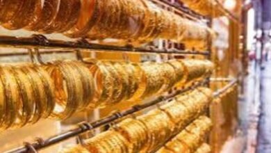 IMG 20250708 WA0021 4