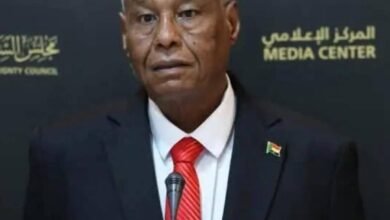 IMG 20250710 WA0017 4