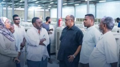 ثلاثة مصانع تبدأ دخول دائرة الإنتاج 14 IMG 20250710 WA0029