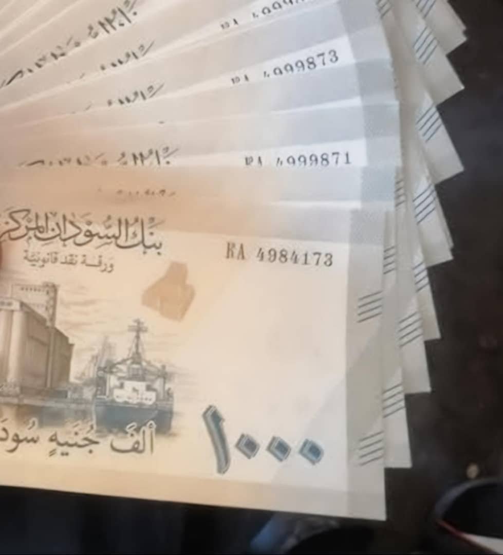 خبير اقتصادي يكشف أسباب تكبد الجنيه السوداني خسائر جديدة 11 IMG 20250712 WA0016