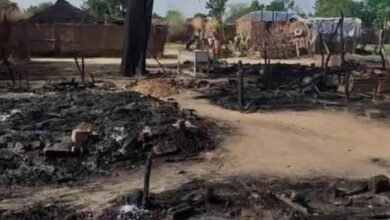 IMG 20250713 WA0008 1