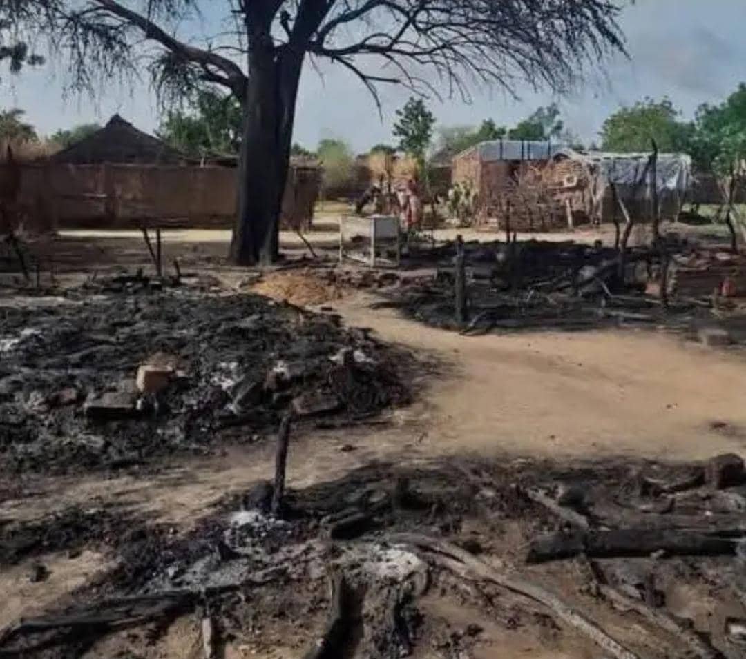 IMG 20250713 WA0008 1