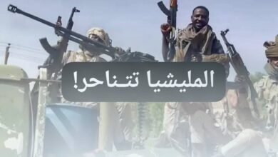 IMG 20250716 WA0035 1