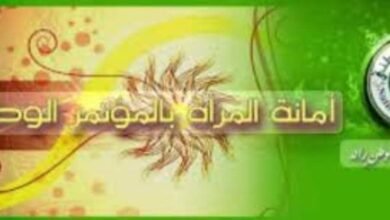 IMG 20250717 WA0011 1