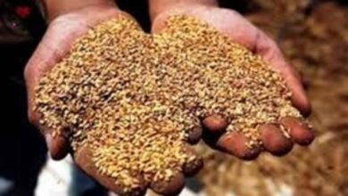 IMG 20250720 WA0030 1