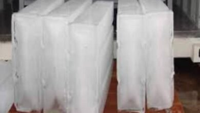 IMG 20250725 WA00101