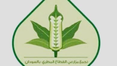 IMG 20250726 WA0014