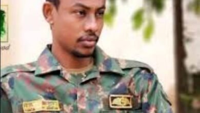 IMG 20250726 WA0029 1