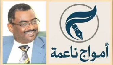 د ياسر محجوب الحسين: مناوي رجل السلام ينقض غزله 15 IMG 20250729 WA0019