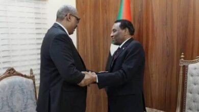 IMG 20250730 WA00161