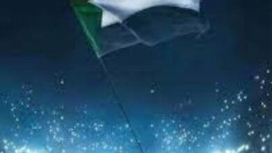 Screenshot 20250714 170546 Chrome