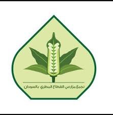 مزارعو القطاع المطري ينتقدون شركات التأمين !! 12 مزارعو القطاع المطري ينتقدون شركات التأمين !!