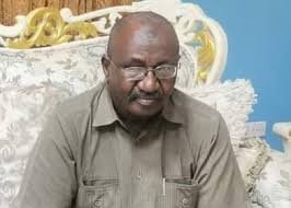 يوسف عبدالمنان: سقوط مدينة.